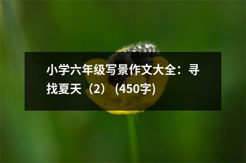 小學(xué)六年級寫景作文大全：尋找夏天（2） (450字)