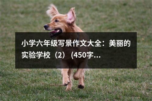 小學(xué)六年級寫景作文大全：美麗的實驗學(xué)校（2） (450字)