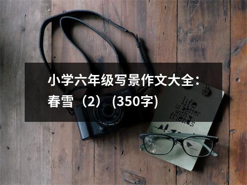 小學(xué)六年級(jí)寫景作文大全：春雪（2） (350字)