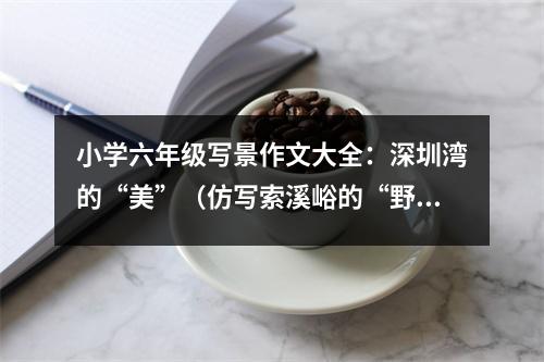 小學(xué)六年級寫景作文大全：深圳灣的“美”（仿寫索溪峪的“野”）（2） (450字)