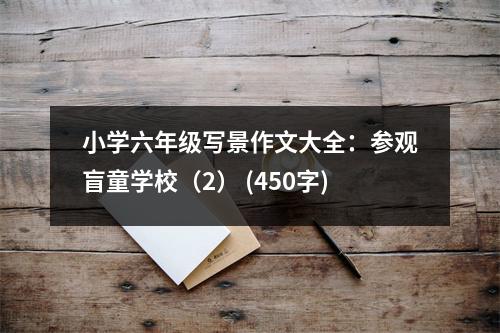 小學六年級寫景作文大全：參觀盲童學校（2） (450字)