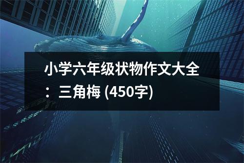 小學(xué)六年級(jí)狀物作文大全：三角梅 (450字)