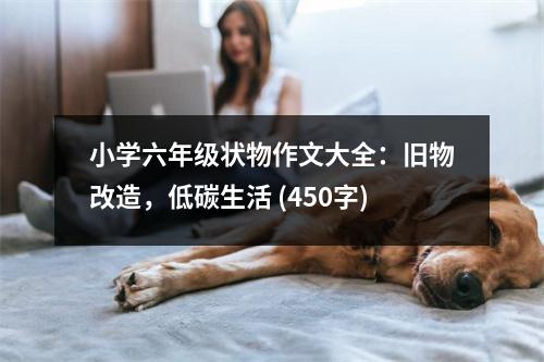 小學(xué)六年級(jí)狀物作文大全：舊物改造，低碳生活 (450字)