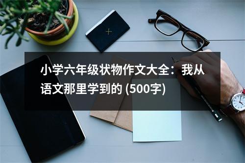 小學(xué)六年級狀物作文大全：我從語文那里學(xué)到的 (500字)