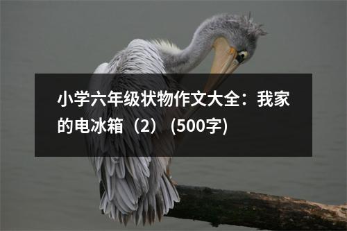 小學(xué)六年級(jí)狀物作文大全：我家的電冰箱（2） (500字)