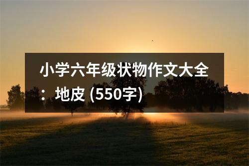 小學(xué)六年級狀物作文大全：地皮 (550字)