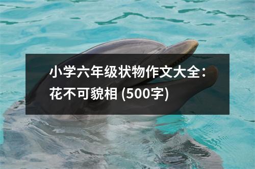 小學(xué)六年級狀物作文大全：花不可貌相 (500字)