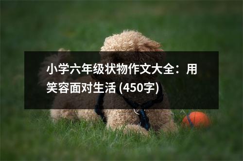 小學六年級狀物作文大全：用笑容面對生活 (450字)