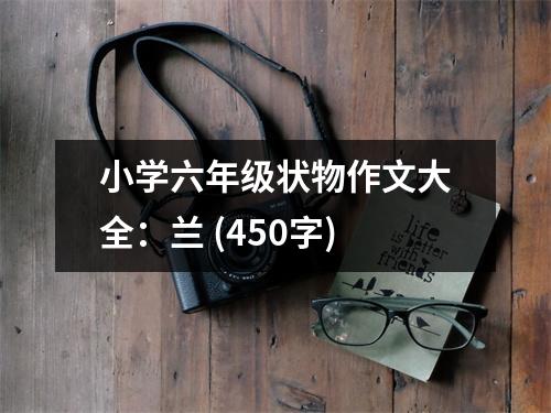 小學六年級狀物作文大全：蘭 (450字)