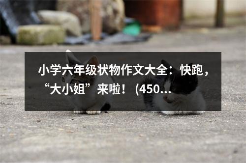 小學(xué)六年級(jí)狀物作文大全：快跑，“大小姐”來(lái)啦！ (450字)