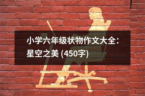 小學(xué)六年級(jí)狀物作文大全：星空之美 (450字)