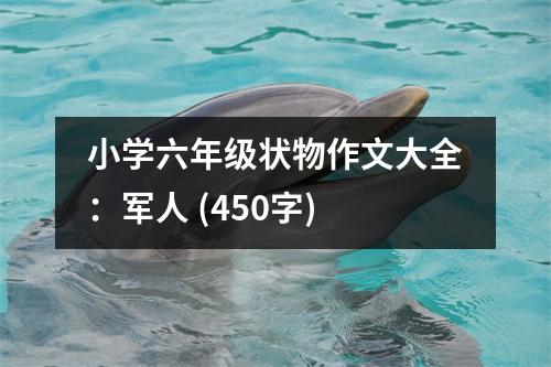 小學(xué)六年級(jí)狀物作文大全：軍人 (450字)