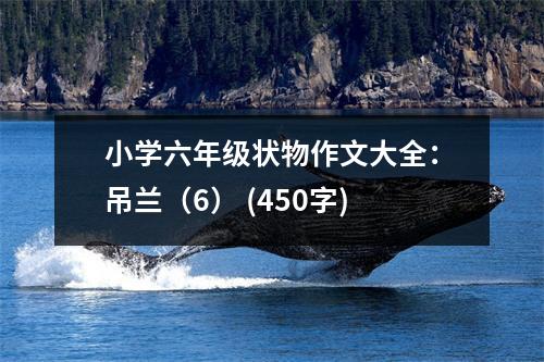 小學六年級狀物作文大全：吊蘭（6） (450字)