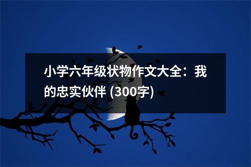 小學(xué)六年級狀物作文大全：我的忠實伙伴 (300字)