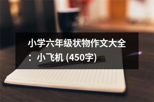小學(xué)六年級狀物作文大全：小飛機 (450字)