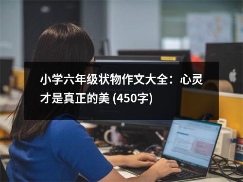 小學(xué)六年級(jí)狀物作文大全：心靈才是真正的美 (450字)