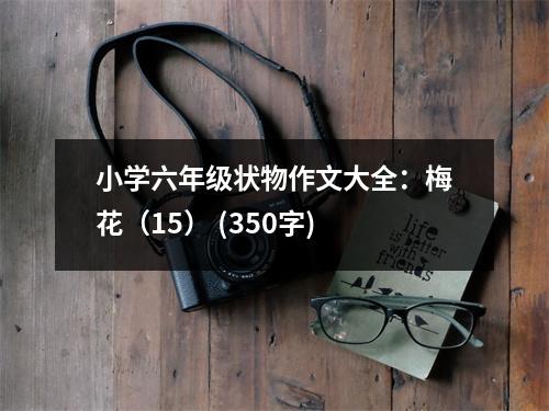 小學(xué)六年級(jí)狀物作文大全：梅花（15） (350字)