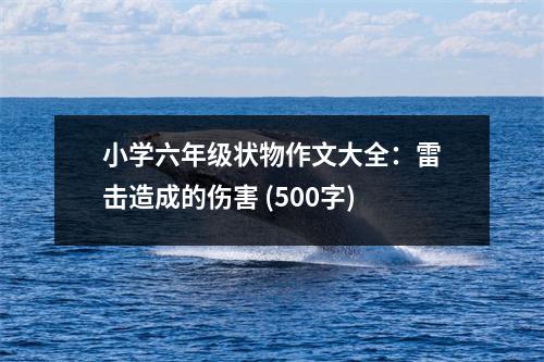 小學(xué)六年級狀物作文大全：雷擊造成的傷害 (500字)