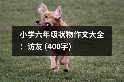 小學(xué)六年級狀物作文大全：訪友 (400字)