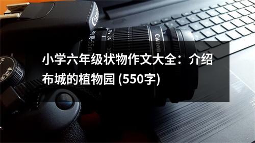 小學(xué)六年級(jí)狀物作文大全：介紹布城的植物園 (550字)
