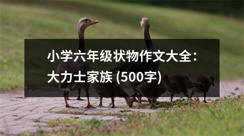 小學(xué)六年級狀物作文大全：大力士家族 (500字)