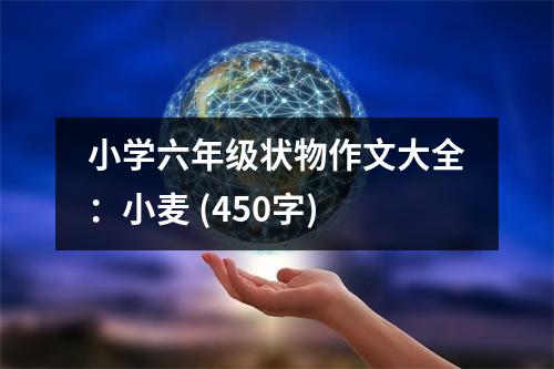 小學(xué)六年級(jí)狀物作文大全：小麥 (450字)