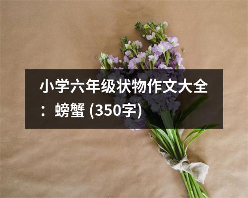 小學(xué)六年級狀物作文大全：螃蟹 (350字)
