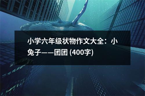 小學(xué)六年級狀物作文大全：小兔子——團(tuán)團(tuán) (400字)