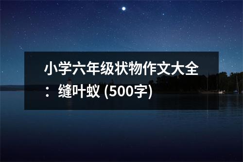 小學(xué)六年級(jí)狀物作文大全：縫葉蟻 (500字)