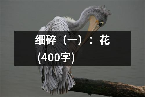 細(xì)碎（一）：花 (400字)