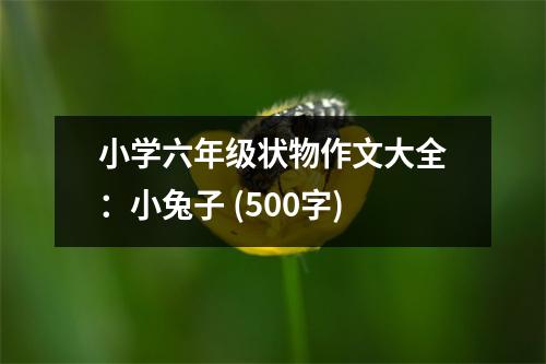 小學六年級狀物作文大全：小兔子 (500字)