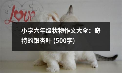 小學(xué)六年級(jí)狀物作文大全：奇特的銀杏葉 (500字)