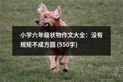 小學(xué)六年級狀物作文大全：沒有規(guī)矩不成方圓 (550字)