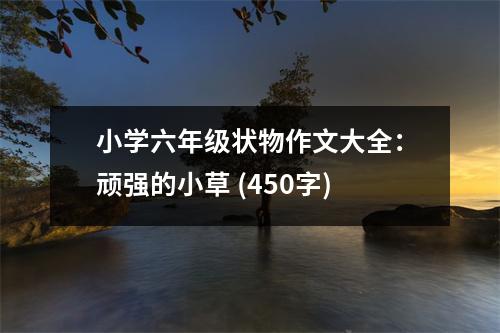 小學(xué)六年級狀物作文大全：頑強的小草 (450字)