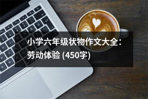 小學(xué)六年級狀物作文大全：勞動體驗 (450字)