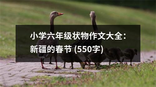 小學(xué)六年級(jí)狀物作文大全：新疆的春節(jié) (550字)