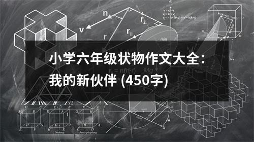 小學(xué)六年級狀物作文大全：我的新伙伴 (450字)