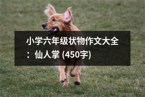 小學(xué)六年級狀物作文大全：仙人掌 (450字)