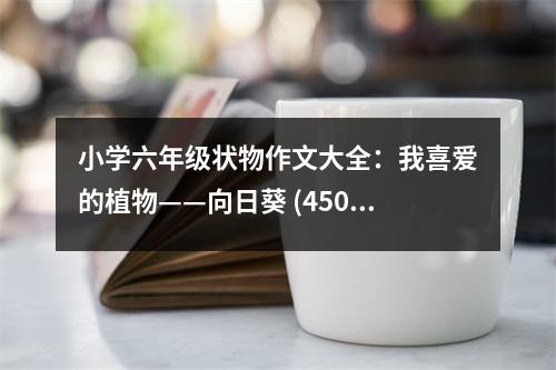 小學(xué)六年級狀物作文大全：我喜愛的植物——向日葵 (450字)