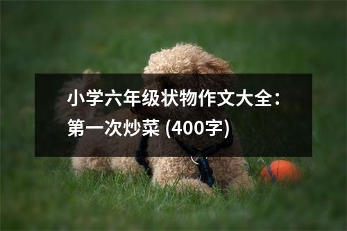 小學(xué)六年級狀物作文大全：第一次炒菜 (400字)