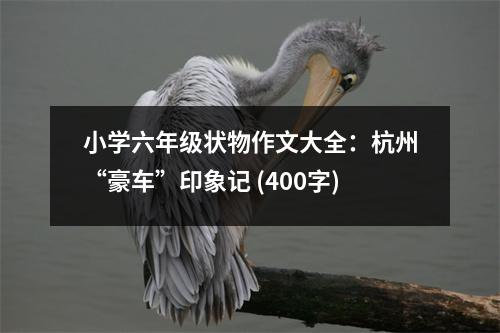 小學(xué)六年級(jí)狀物作文大全：杭州“豪車(chē)”印象記 (400字)