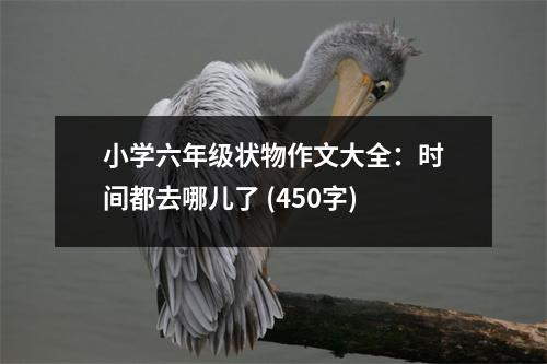 小學(xué)六年級狀物作文大全：時(shí)間都去哪兒了 (450字)