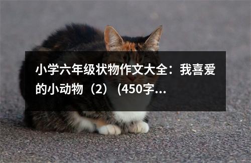 小學(xué)六年級(jí)狀物作文大全：我喜愛(ài)的小動(dòng)物（2） (450字)