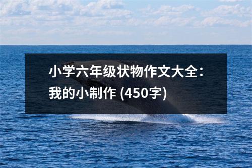 小學(xué)六年級(jí)狀物作文大全：我的小制作 (450字)