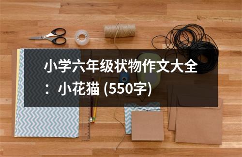 小學(xué)六年級狀物作文大全：小花貓 (550字)