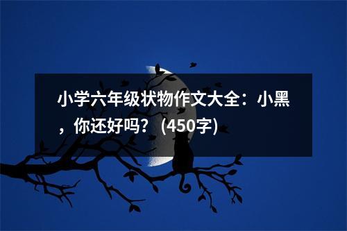 小學(xué)六年級狀物作文大全：小黑，你還好嗎？ (450字)
