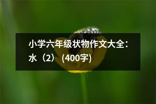 小學(xué)六年級狀物作文大全：水（2） (400字)