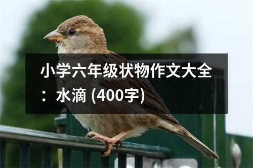 小學(xué)六年級(jí)狀物作文大全：水滴 (400字)