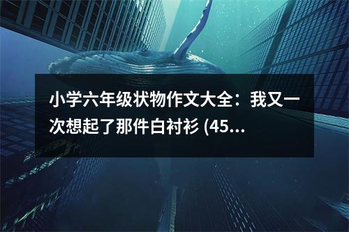 小學六年級狀物作文大全：我又一次想起了那件白襯衫 (450字)