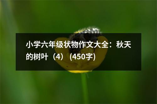 小學(xué)六年級(jí)狀物作文大全：秋天的樹葉（4） (450字)